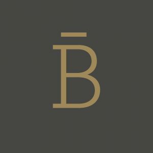 Logo B-Roof