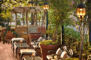 RoofTop Garden - El Palace Barcelona