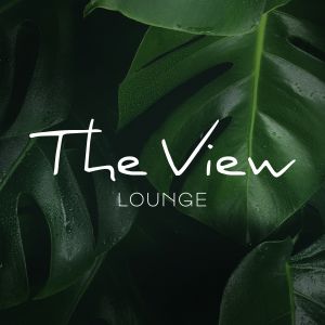 Logo The View Lounge Plaza
